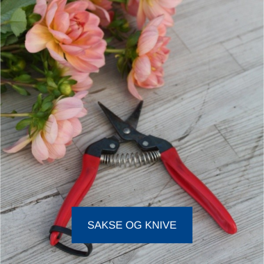 Sakse og knive