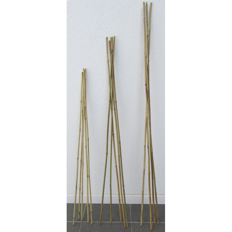 Bambusstok 150 cm - 50 stk.
