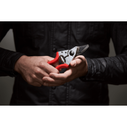 Besk�resaks - Felco nr. 6