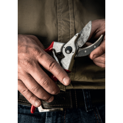 Besk�resaks - Felco nr. 2 